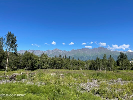 22329 E CLARE WAY, PALMER, AK 99645 - Image 734d2b6cad7bbf37bc4b700dbfca1b60/2284729461