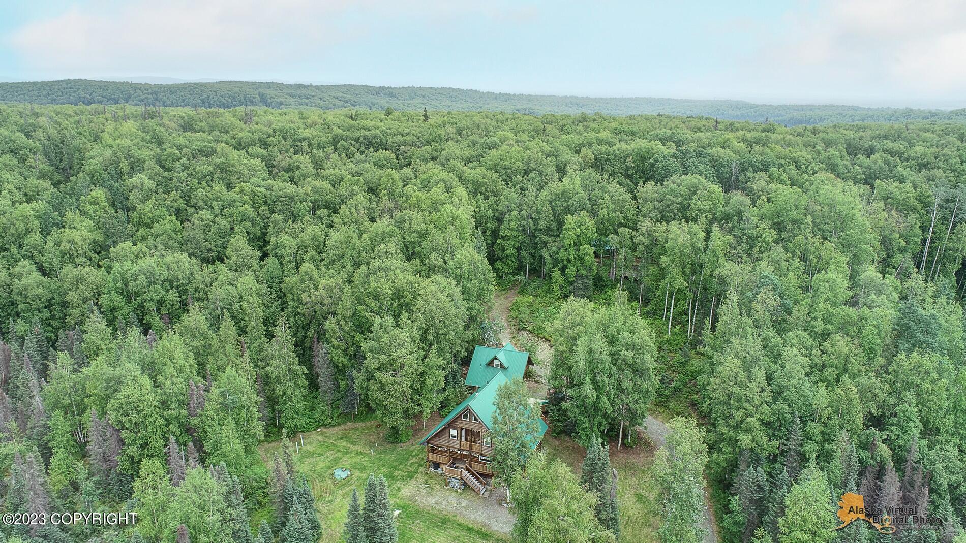 33577 S Bowersox Place, Talkeetna, Alaska image 43