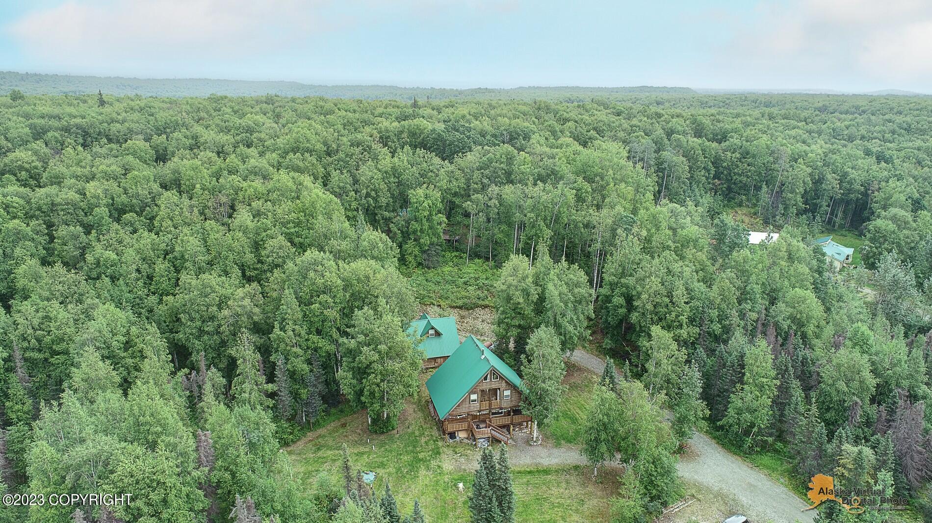 33577 S Bowersox Place, Talkeetna, Alaska image 42