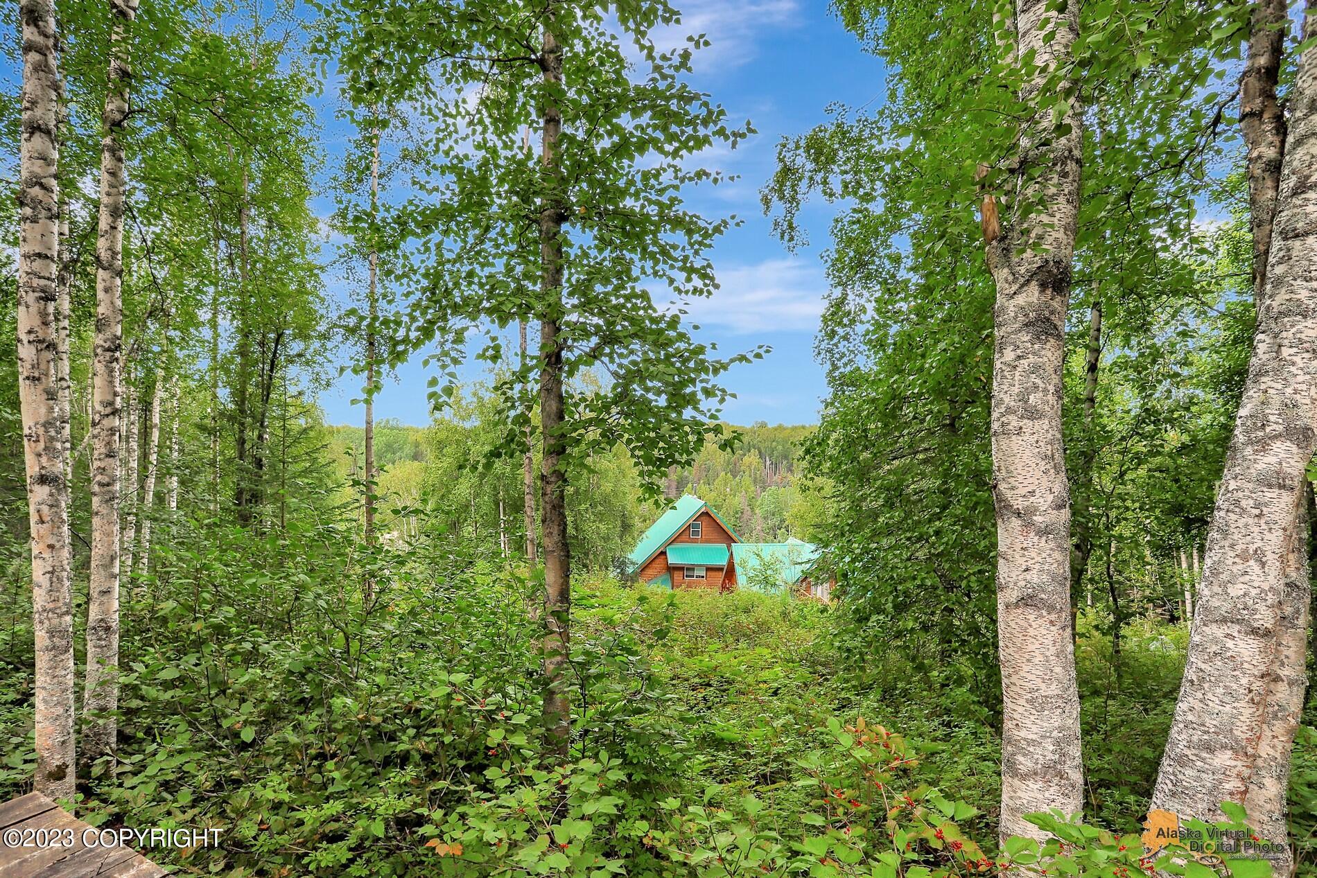 33577 S Bowersox Place, Talkeetna, Alaska image 41