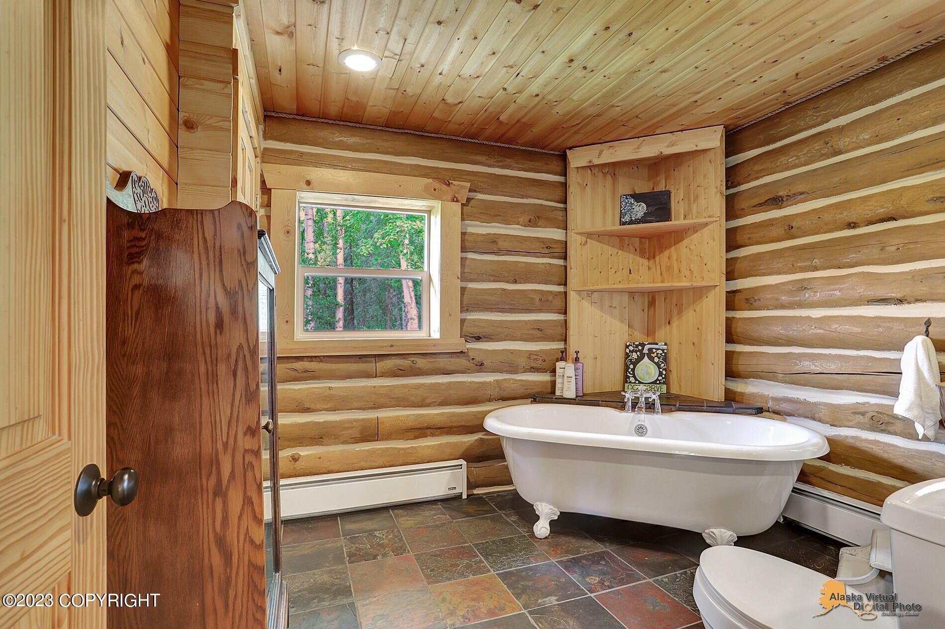 33577 S Bowersox Place, Talkeetna, Alaska image 14