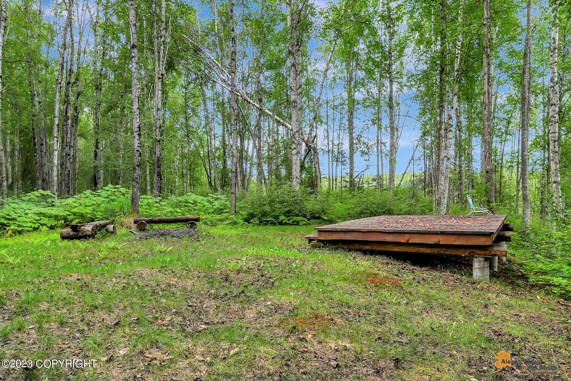 33577 S Bowersox Place, Talkeetna, Alaska image 40