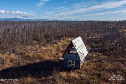 Photo of 41357 W Krantz Road, Willow, AK 99688 (MLS # 26-5829)
