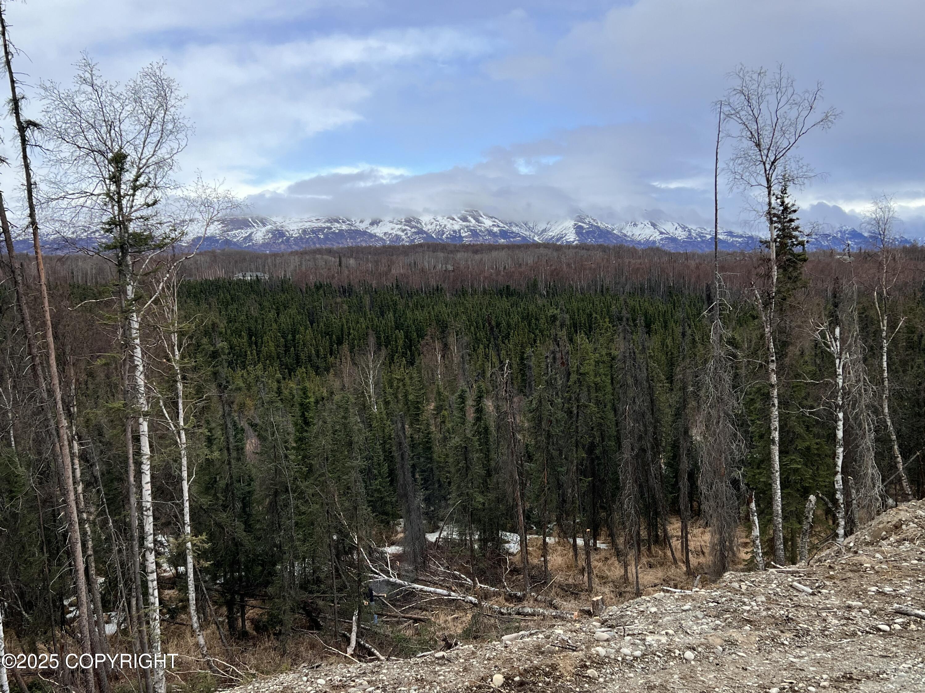 2975 W Longview Circle, Wasilla, Alaska image 2
