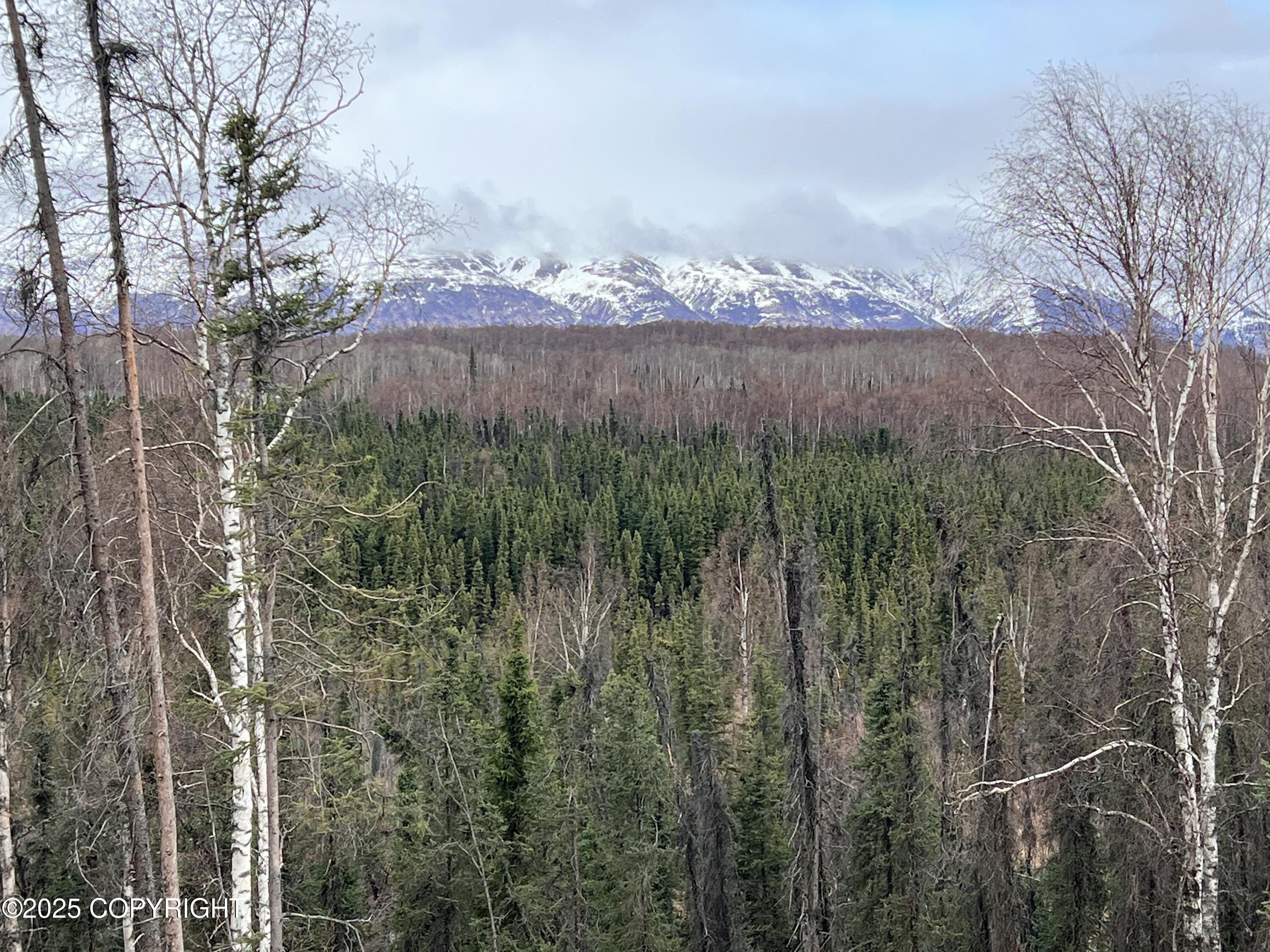 2975 W Longview Circle, Wasilla, Alaska image 1