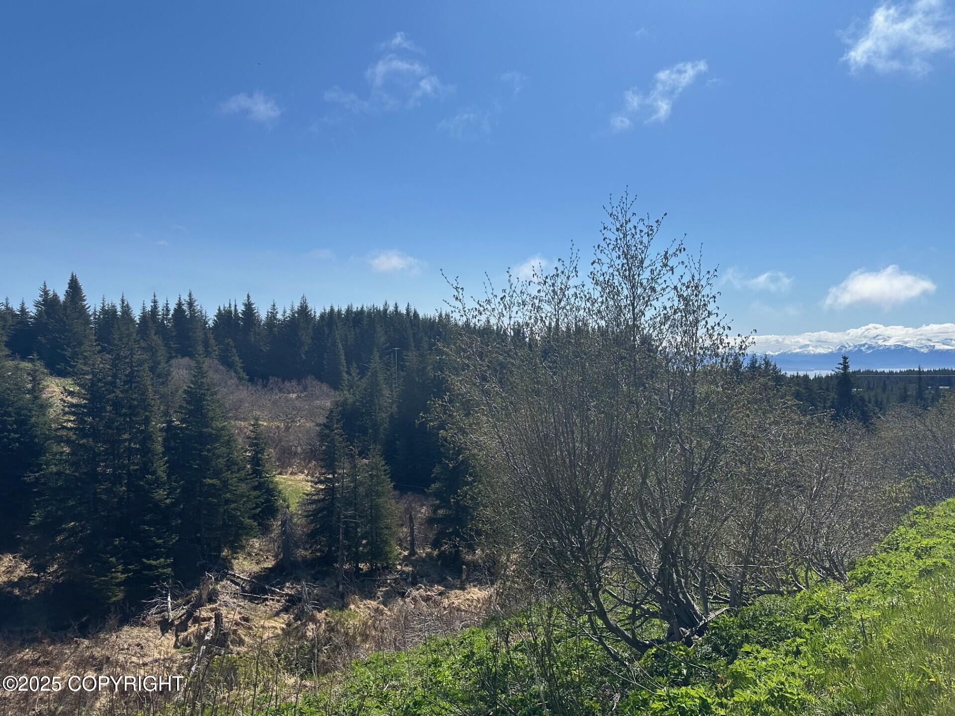 64370 Diamond Ridge Road, Homer, Alaska image 1