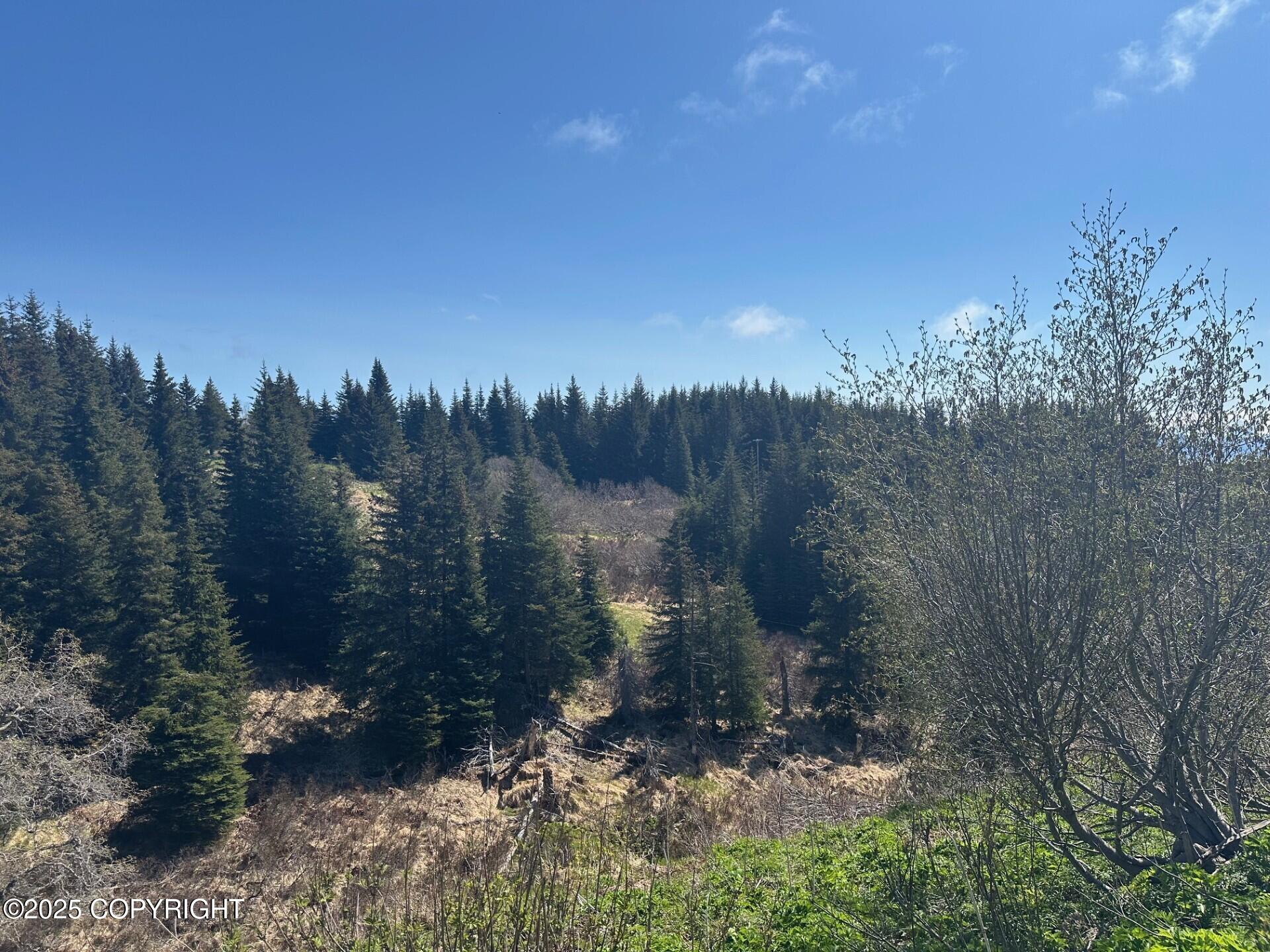 64370 Diamond Ridge Road, Homer, Alaska image 3