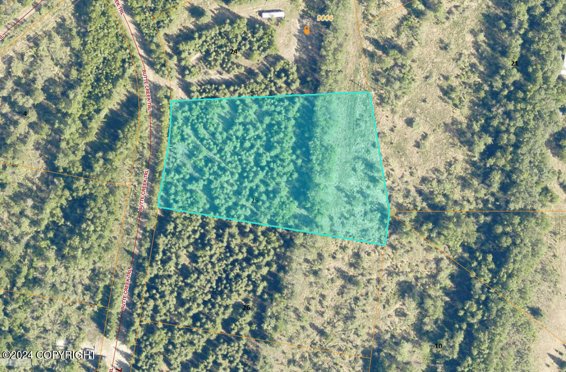 L25 Big Salchaket Trail, Salcha, Alaska image 1