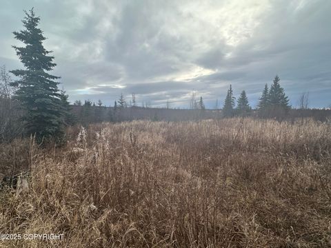 Vacant Land For Sale - 000 Matson Street<br/> Ninilchik, AK 99639