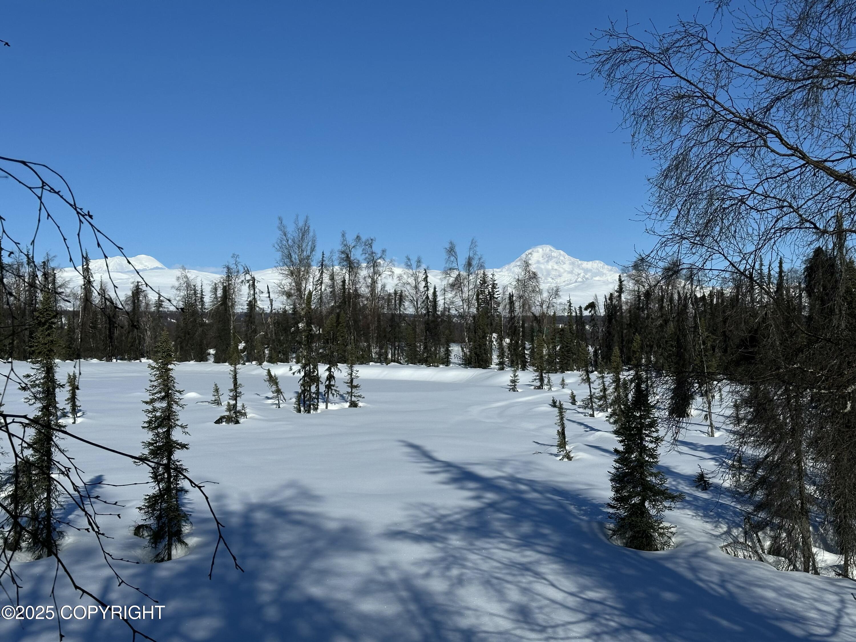 NHN Safari Lk Asls 80-188 B11 L5-1, Trapper Creek, Alaska image 1