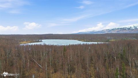 Photo of 4620 E Hart Lake Loop, Wasilla, AK 99654 (MLS # 26-5061)