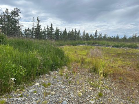 Vacant Land For Sale - 4853 Kachemak Drive<br/> Homer, AK 99603