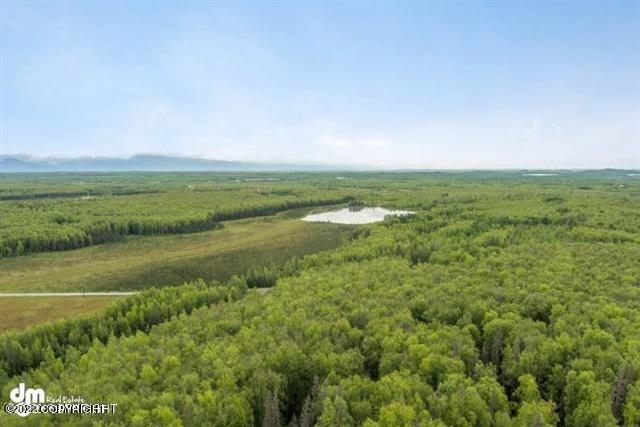 2325 N Skye Circle, Houston, Alaska image 18