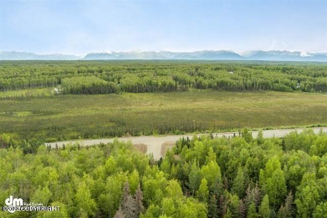 2325 N Skye Circle, Houston, Alaska image 2