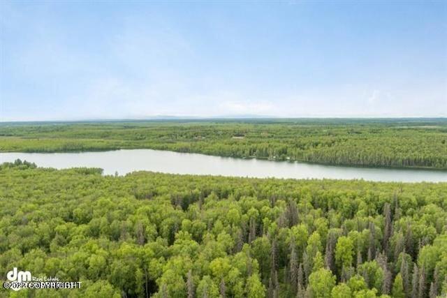 2325 N Skye Circle, Houston, Alaska image 22
