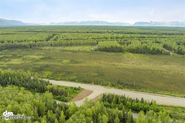 2325 N Skye Circle, Houston, Alaska image 4