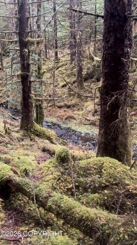 L7 B2 Coffman Loop Coffman Cove AK 99918