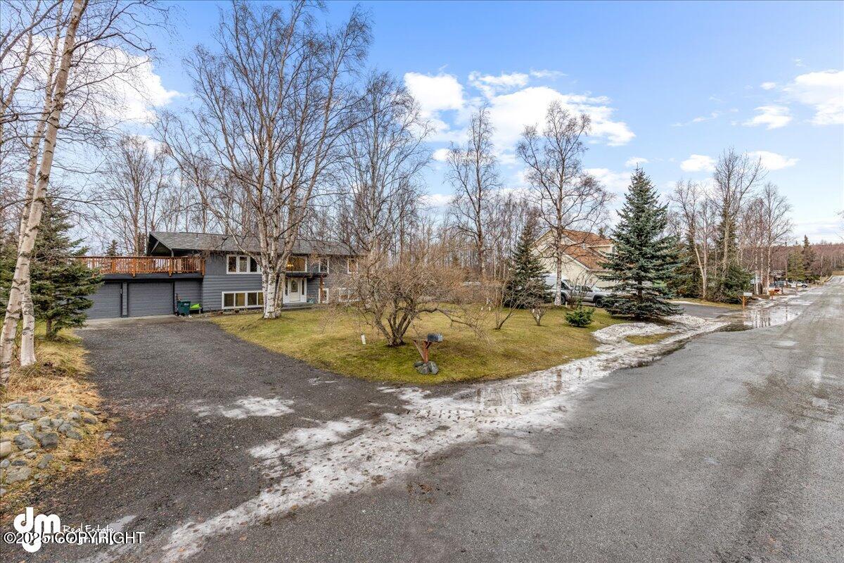 14210 Specking Avenue, Anchorage, Alaska image 2
