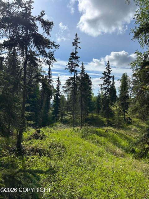 Vacant Land For Sale - 34815 Schwalm Road<br/> Soldotna, AK 99669