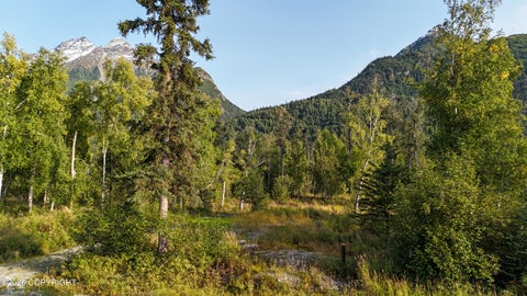 Vacant Land For Sale - 12704 E Wycoff Drive<br/> Palmer, AK 99645