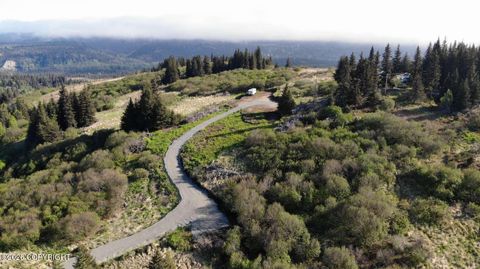 Vacant Land For Sale - 35925 N Fork Road<br/> Homer, AK 99603