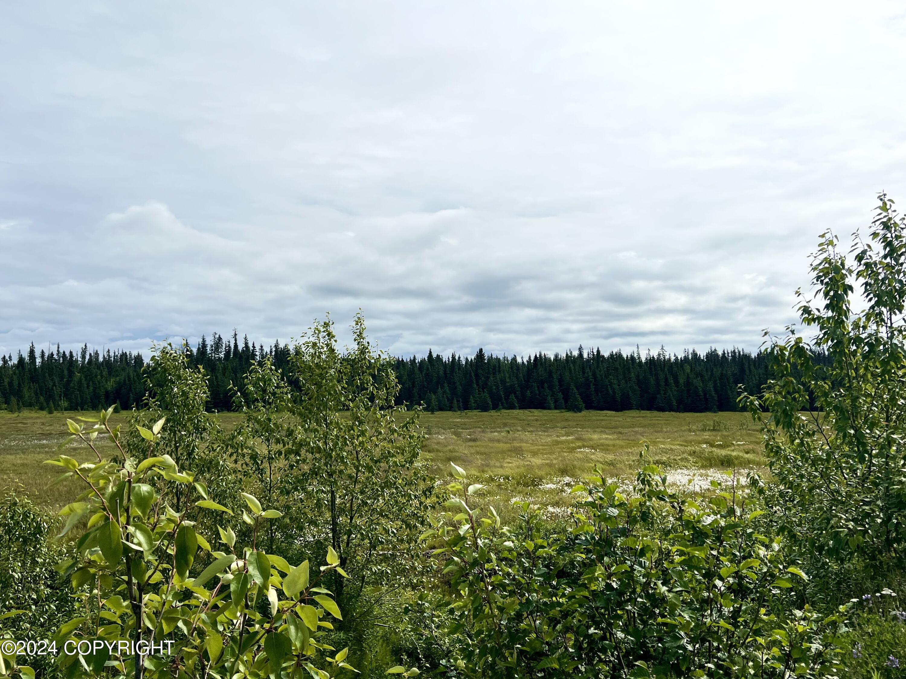 Lot 1 Aquila Wings Road, Anchor Point, Alaska image 15