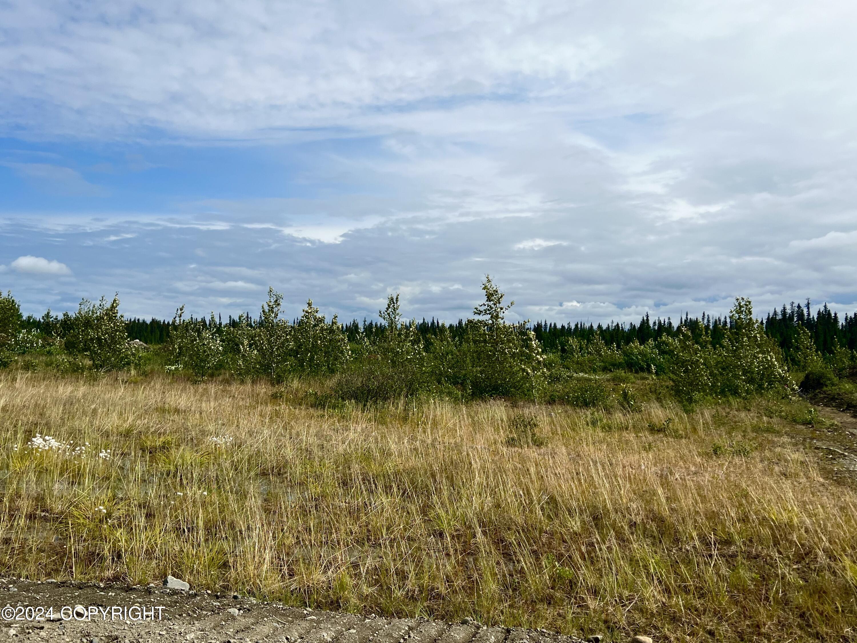 Lot 1 Aquila Wings Road, Anchor Point, Alaska image 7