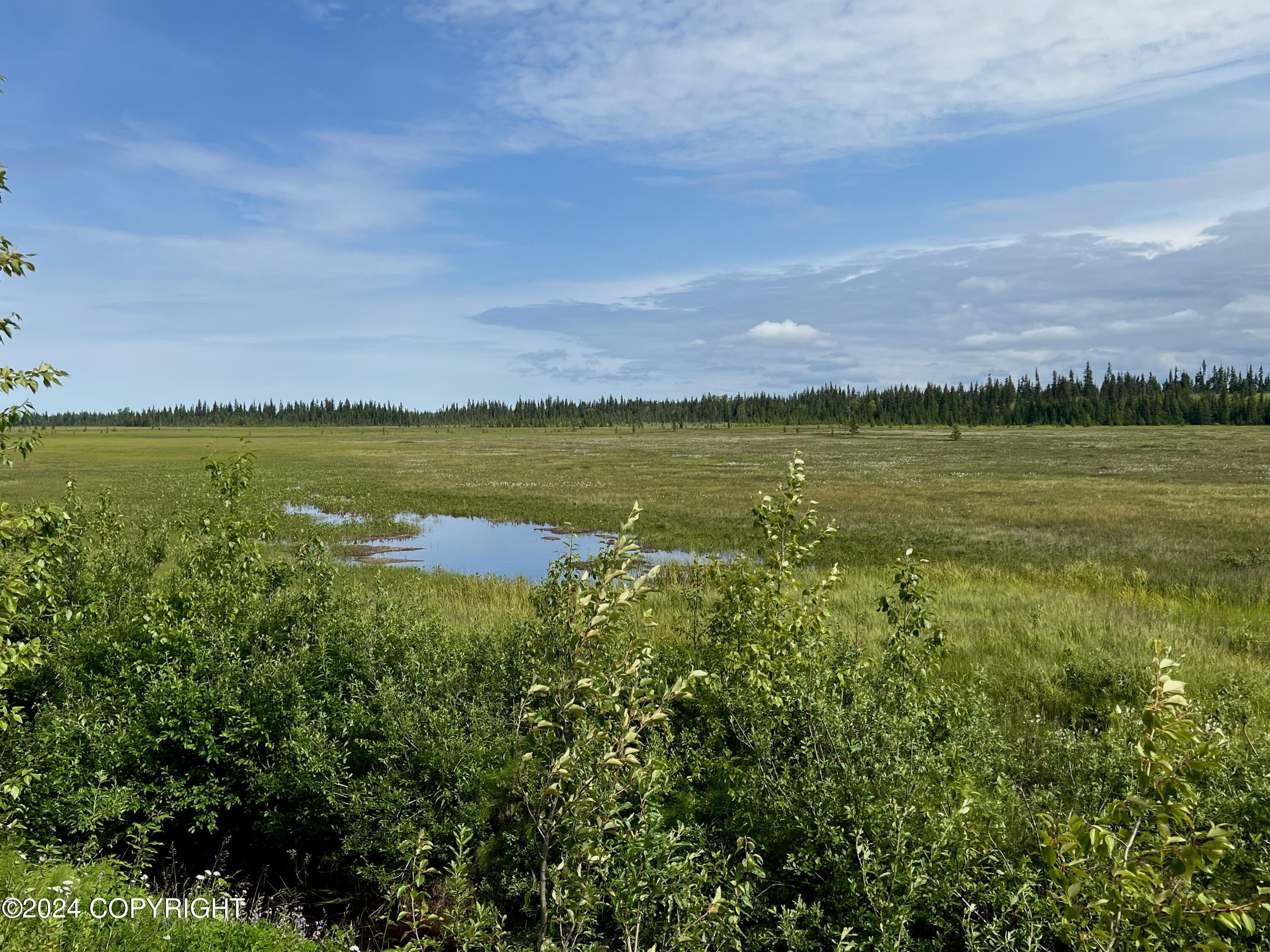 Lot 1 Aquila Wings Road, Anchor Point, Alaska image 13