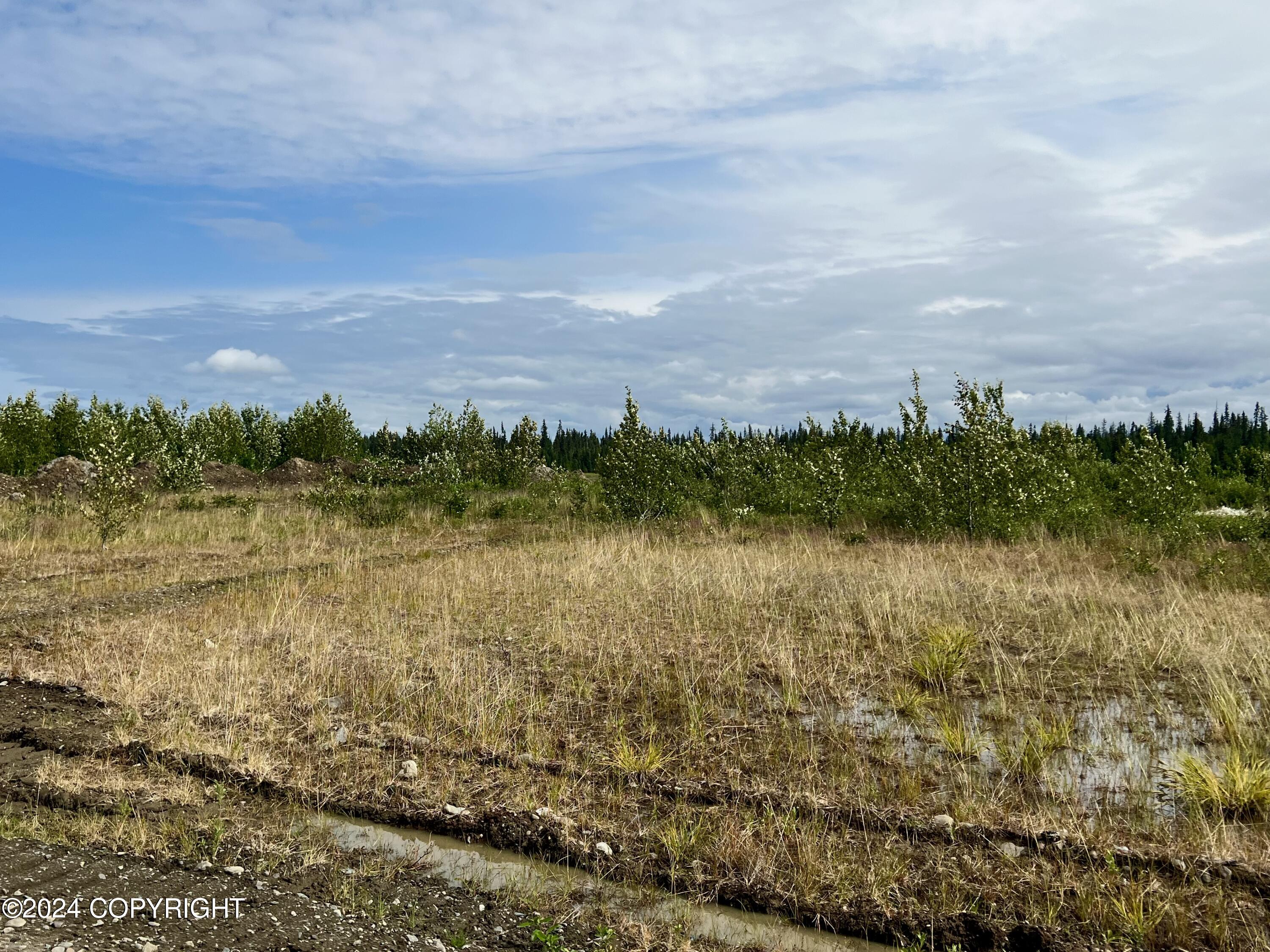 Lot 1 Aquila Wings Road, Anchor Point, Alaska image 6