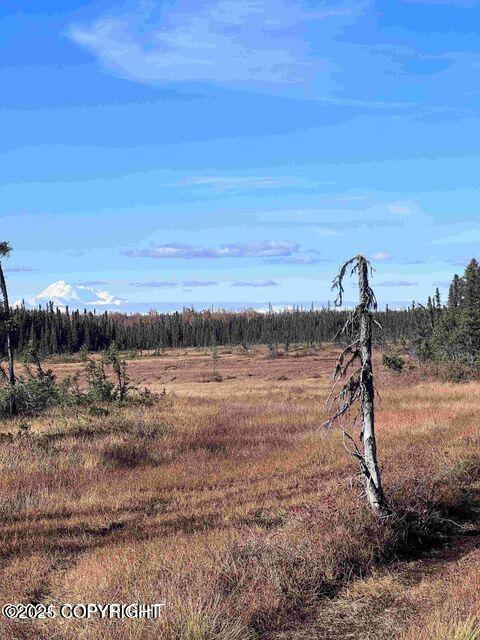 32978 S Mt. Brooks Drive, Talkeetna, Alaska image 48
