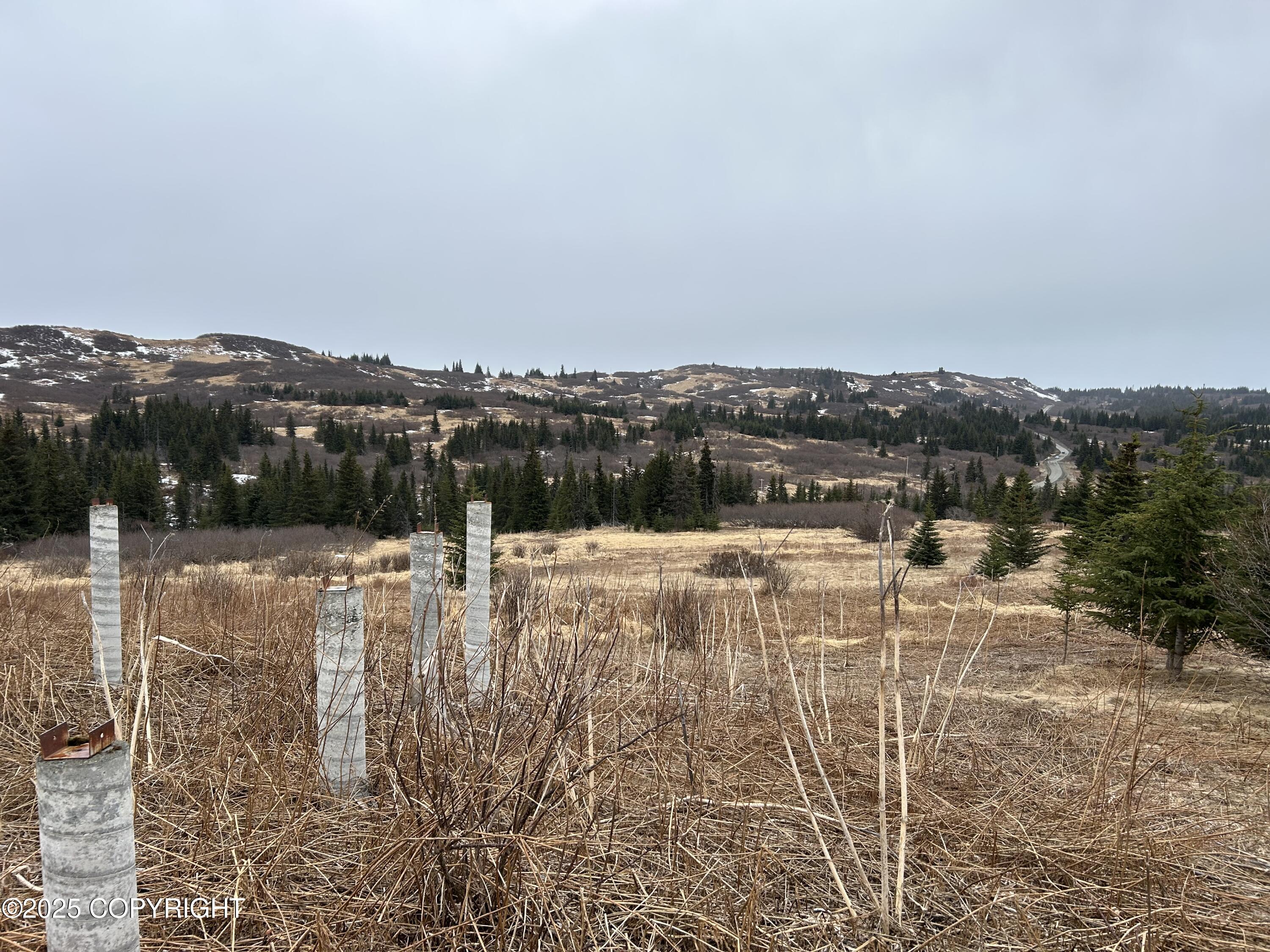 Lot 10  View Estates St, Anchor Point, Alaska image 7