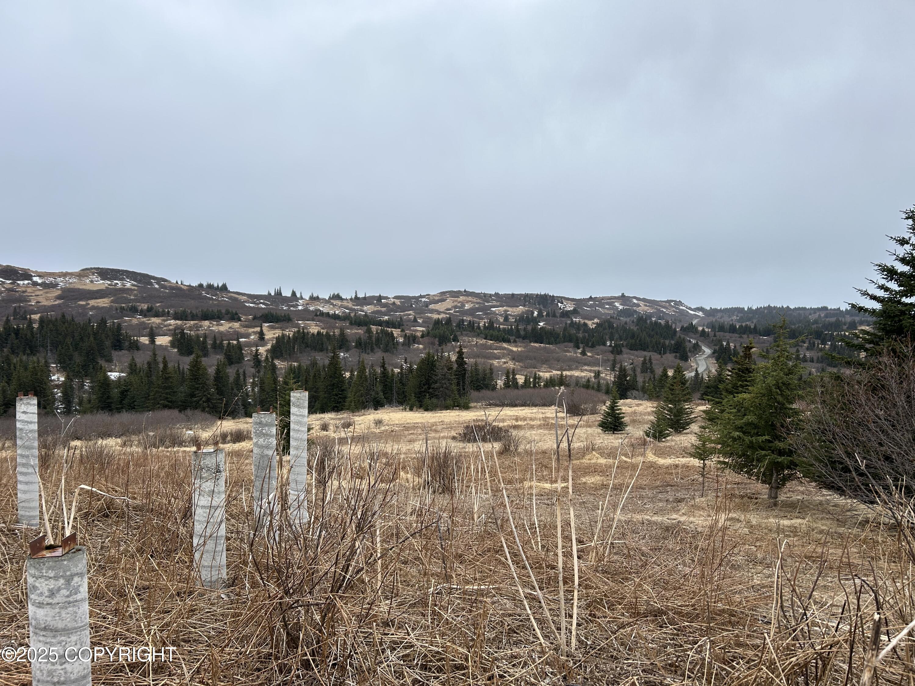Lot 10  View Estates St, Anchor Point, Alaska image 5