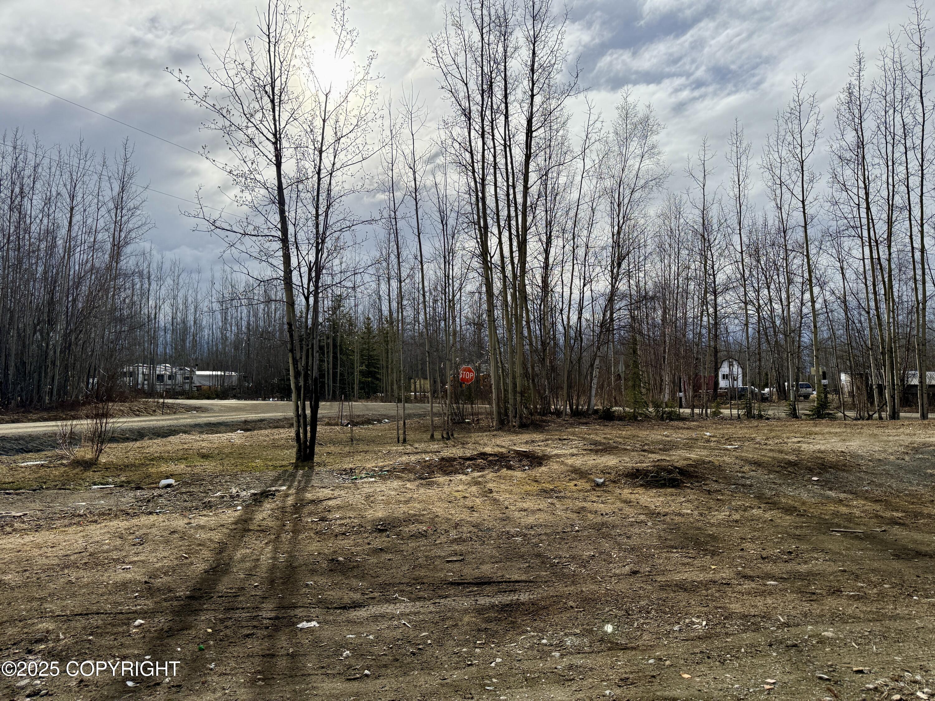 1987 S Lodge Drive, Wasilla, Alaska image 17
