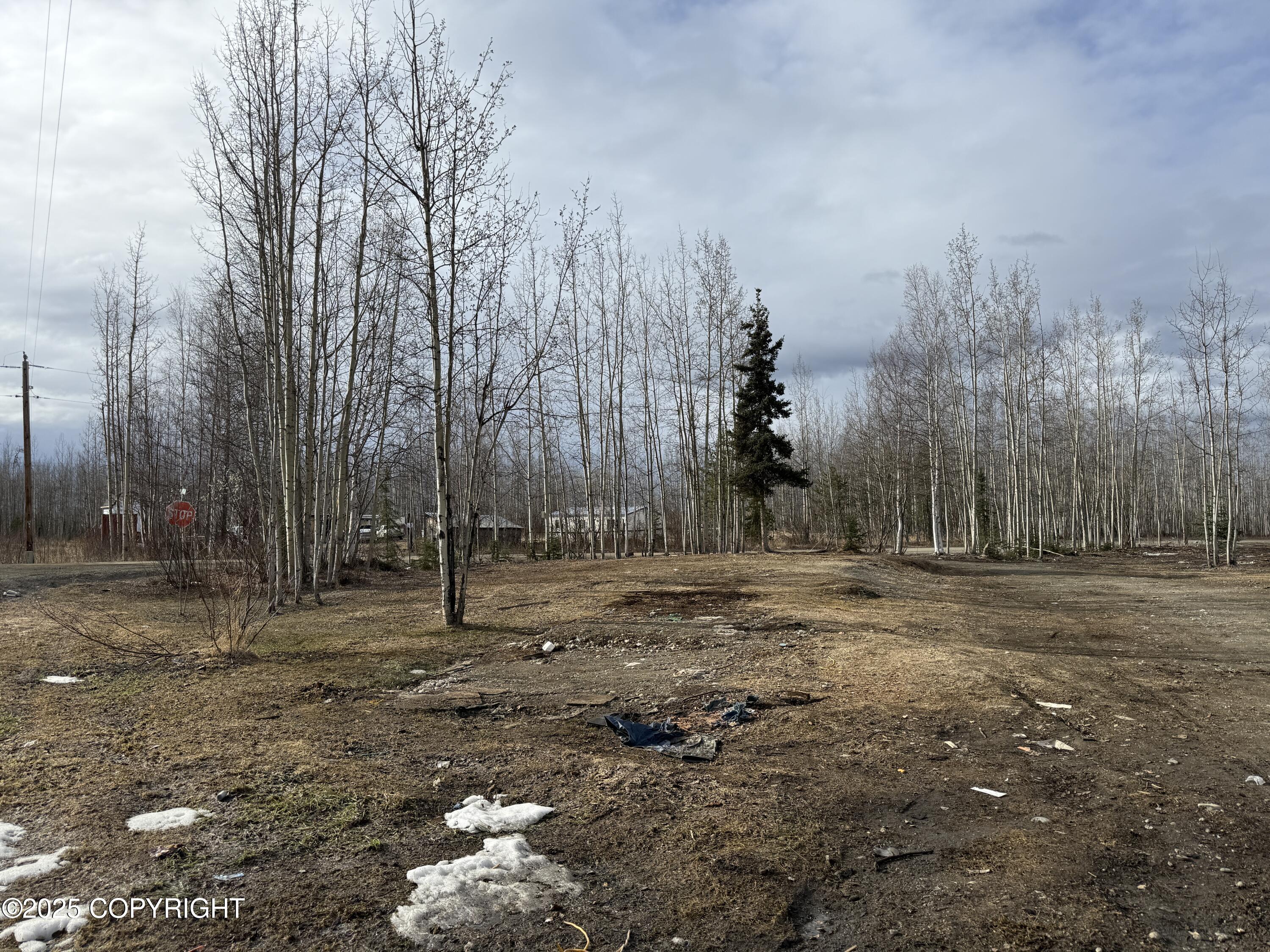 1987 S Lodge Drive, Wasilla, Alaska image 16