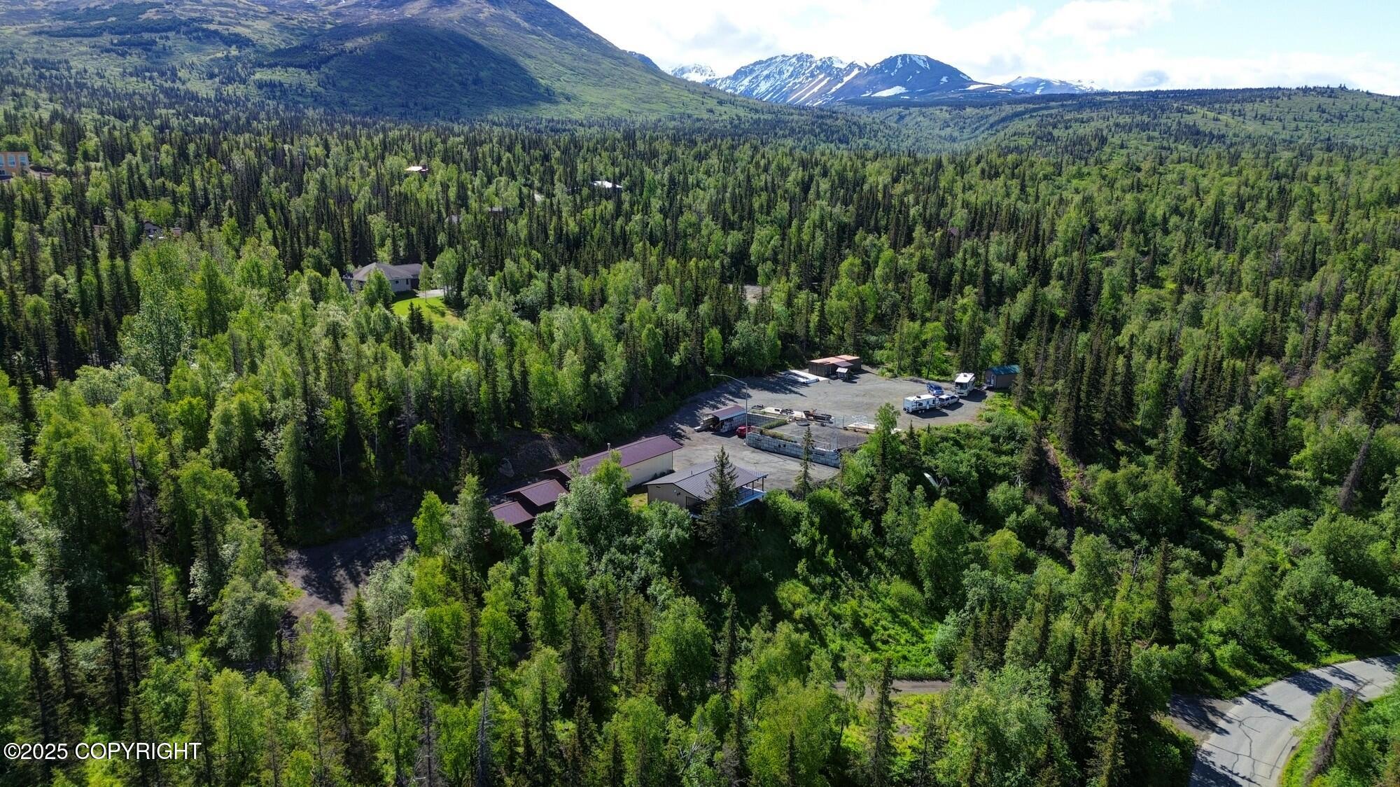 9291 Basher Drive, Anchorage, Alaska image 37