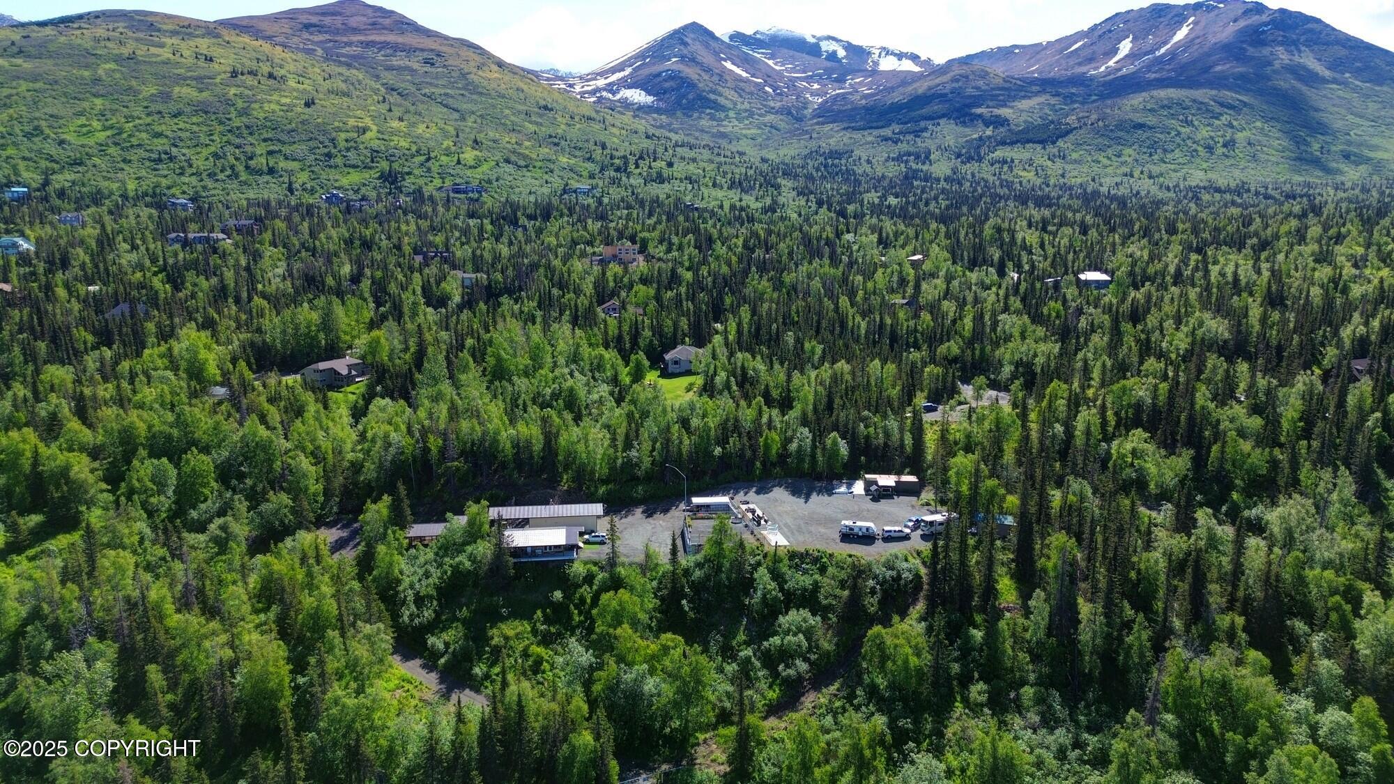 9291 Basher Drive, Anchorage, Alaska image 35