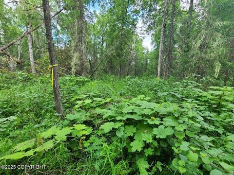 Photo of L1-1 Chase 2, Talkeetna, AK 99676 (MLS # 25-13429) Photo of L1-1 Chase 2, Talkeetna, AK 99676 (MLS # 25-13429)