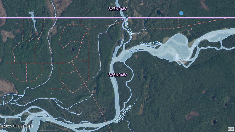 L1-1 S Chase #2 St, Talkeetna, Alaska image 4