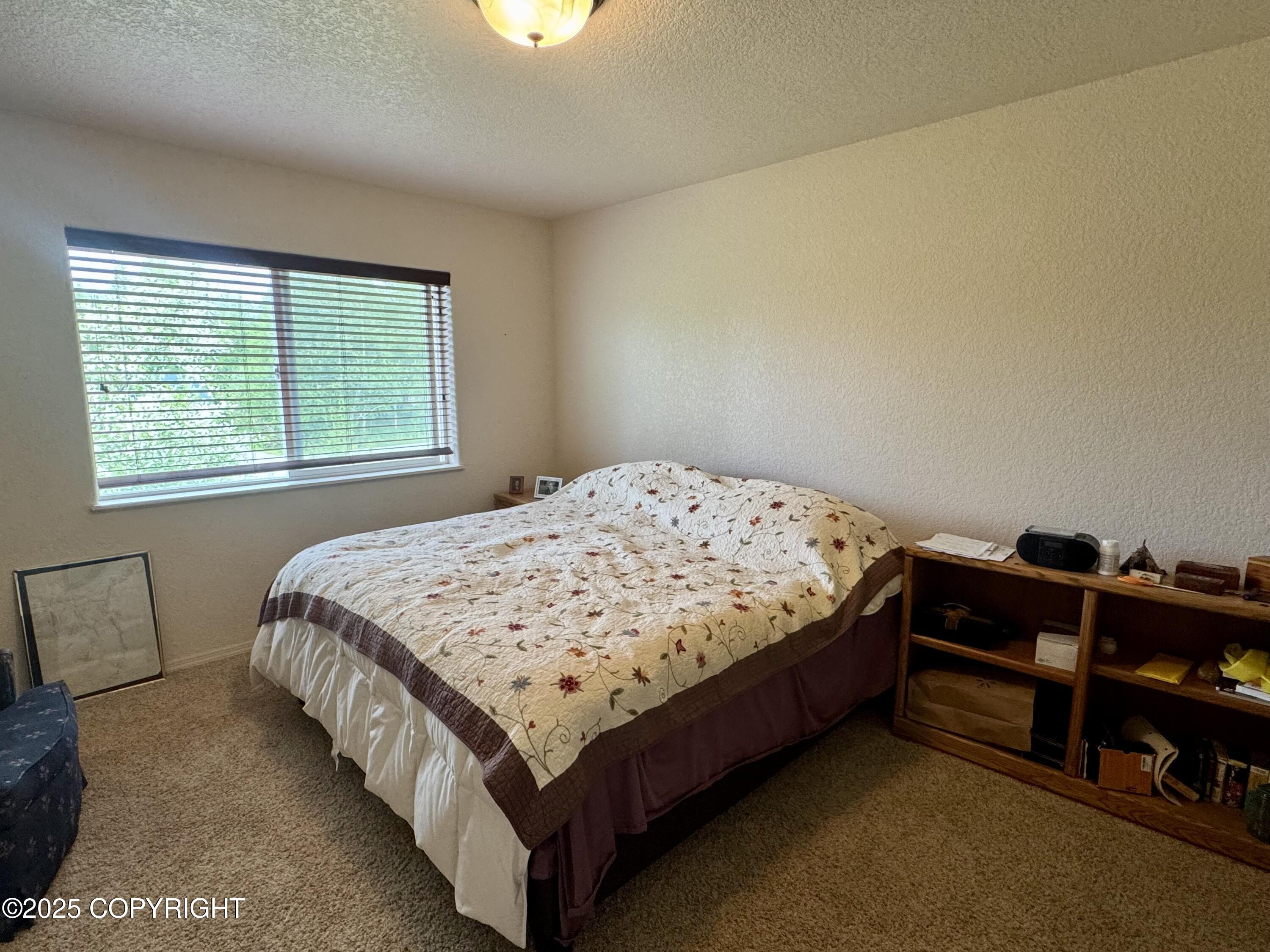 17110 E Kathy Circle, Palmer, Alaska image 20