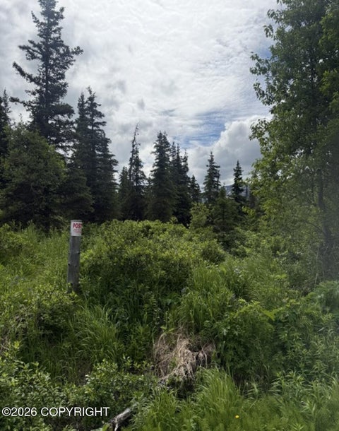 Vacant Land For Sale - MILE 6.7 Hiland Road<br/> Eagle River, AK 99577