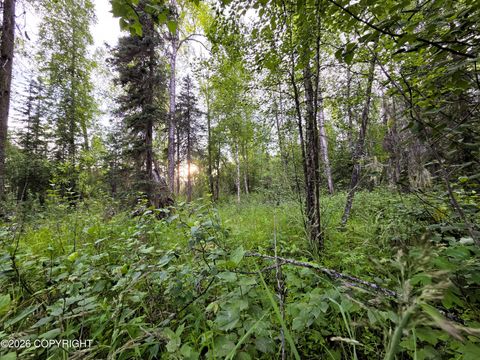 Photo of 14403 E Lichtenwalner Road, Talkeetna, AK 99676 (MLS # 26-8287)