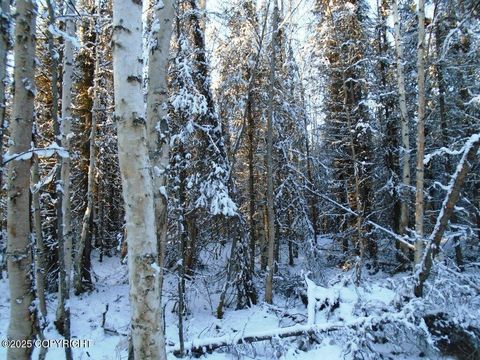 Vacant Land For Sale - 6703 S Lark Circle<br/> Wasilla, AK 99623