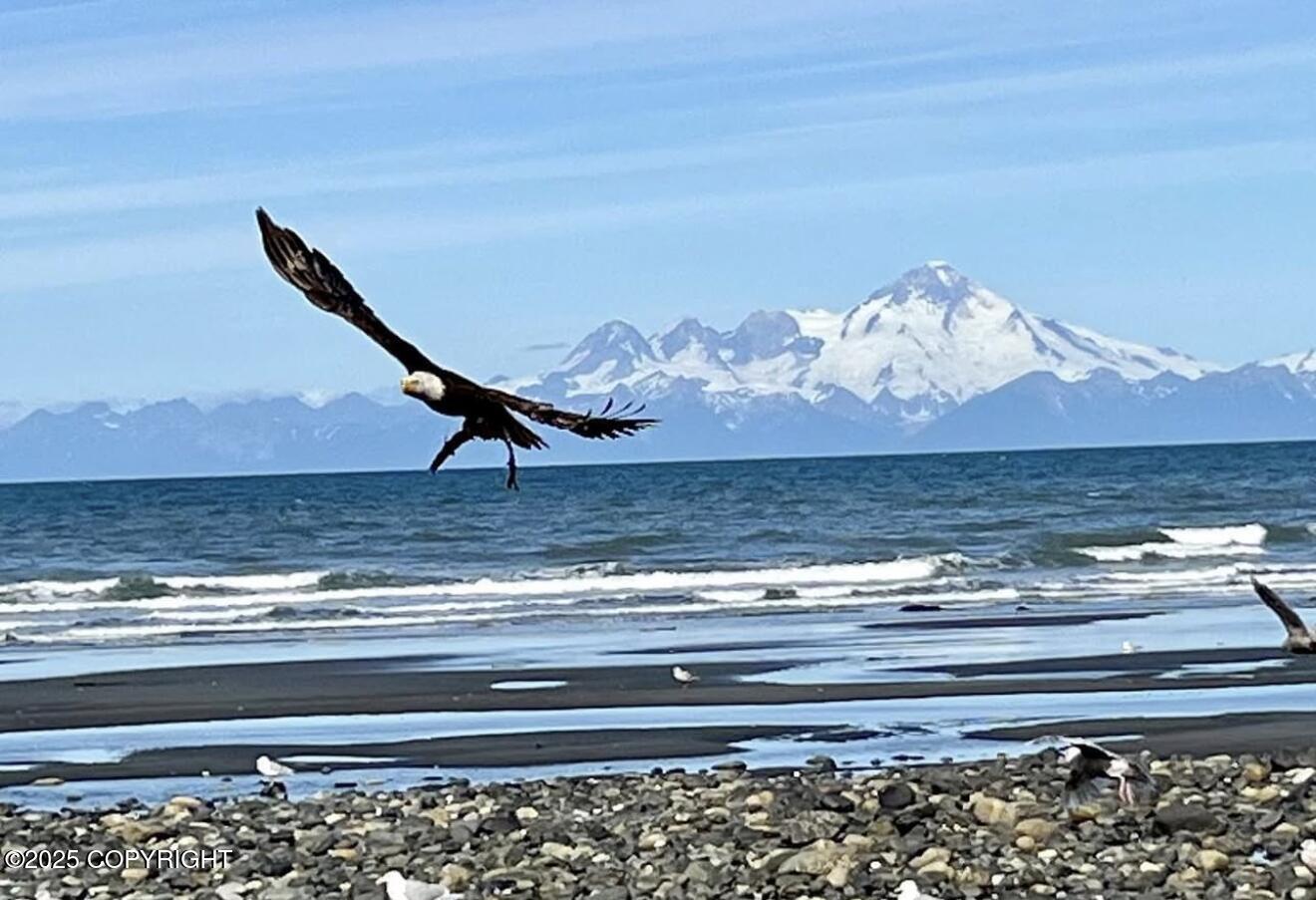 Ninilchik, Alaska 99639, United States, 11 Bedrooms Bedrooms, ,11 BathroomsBathrooms,Residential,Active,230115