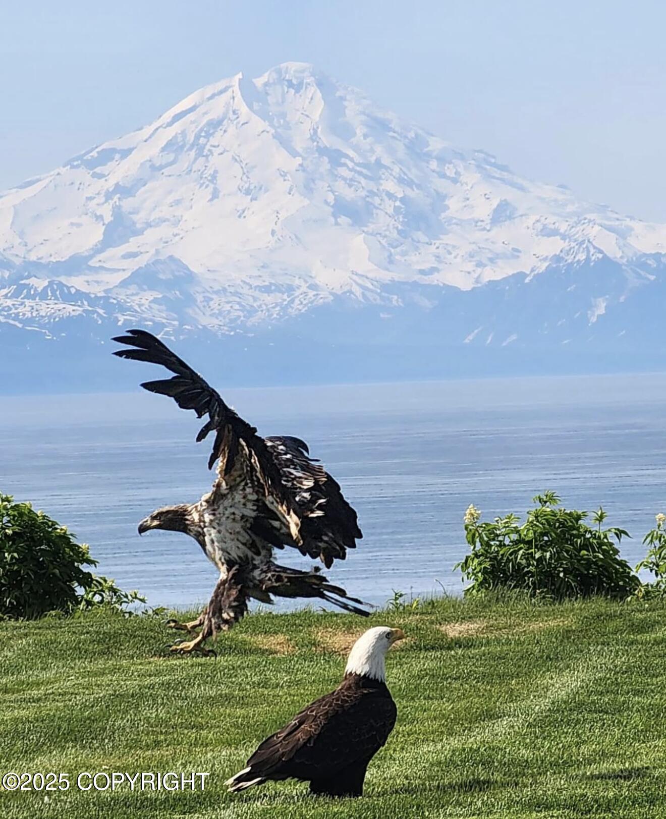 Ninilchik, Alaska 99639, United States, 11 Bedrooms Bedrooms, ,11 BathroomsBathrooms,Residential,Active,230115