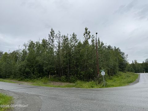 Vacant Land For Sale - L3 B2 E Aspen Ridge Road<br/> Wasilla, AK 99654