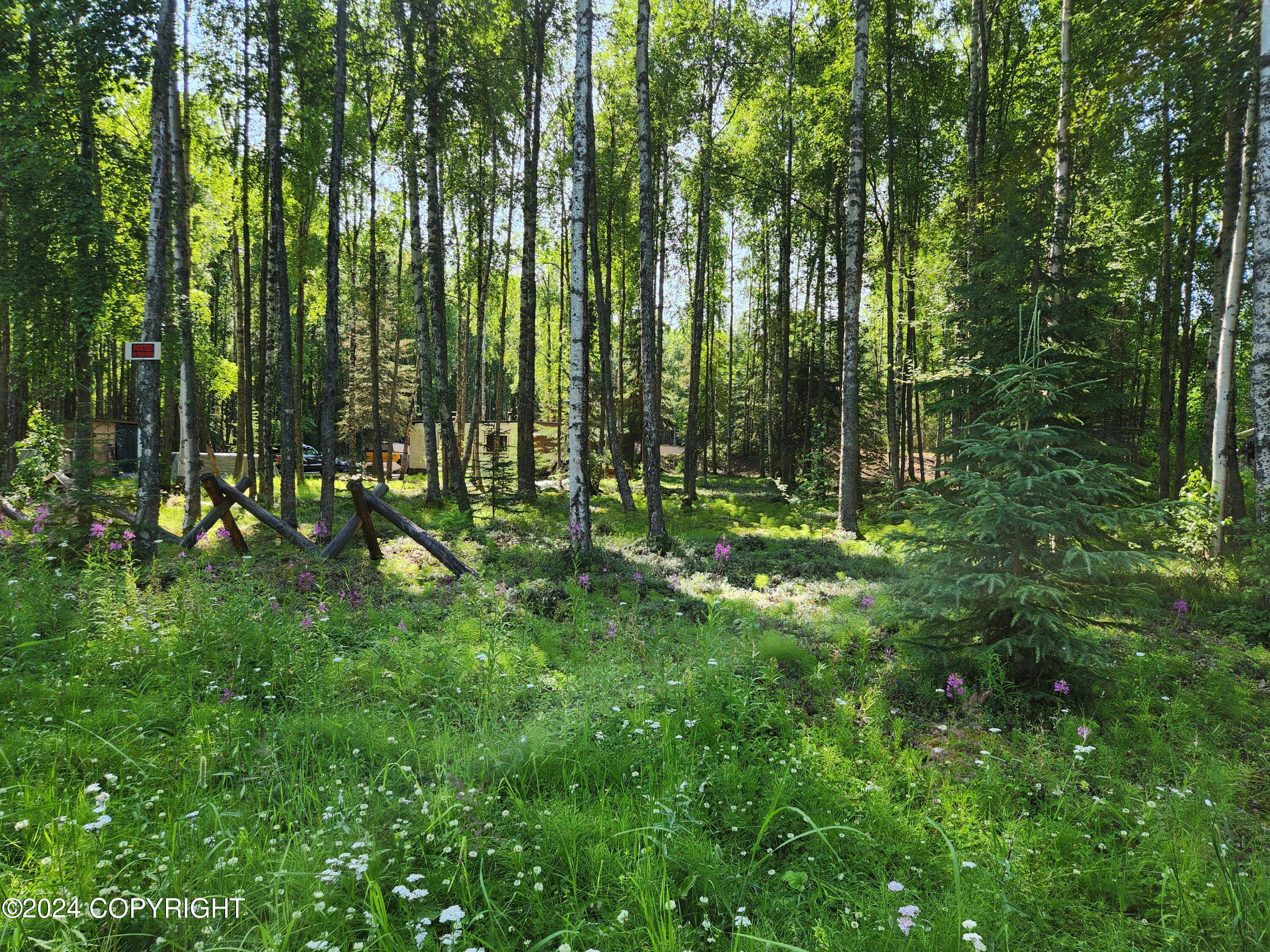 3268 Nichols Drive, Houston, Alaska image 5