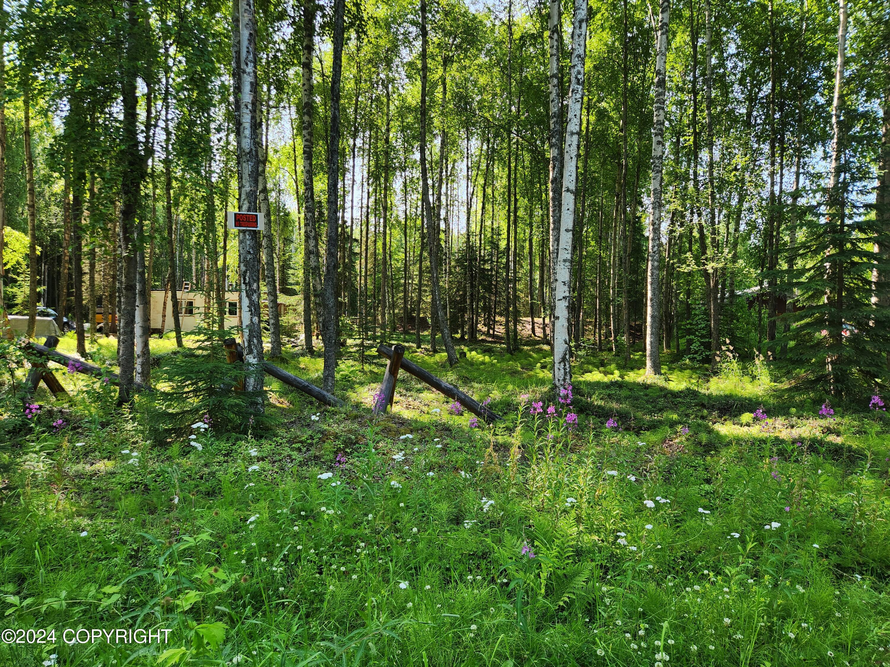 3268 Nichols Drive, Houston, Alaska image 7