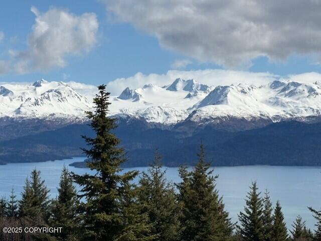 51153 Trail Mountain Road, Homer, Alaska image 43