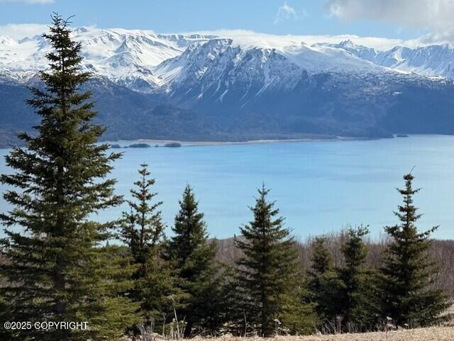 51153 Trail Mountain Road, Homer, Alaska image 3