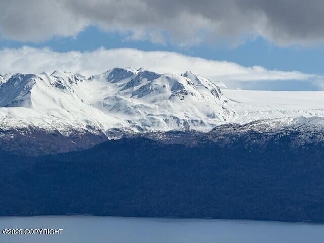 51153 Trail Mountain Road, Homer, Alaska image 6